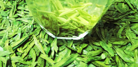 One Pound Organic Fresh Green Tea